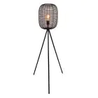 Eglo Lampadaires Salon Rinroe Acier Noir | Convient pour E27